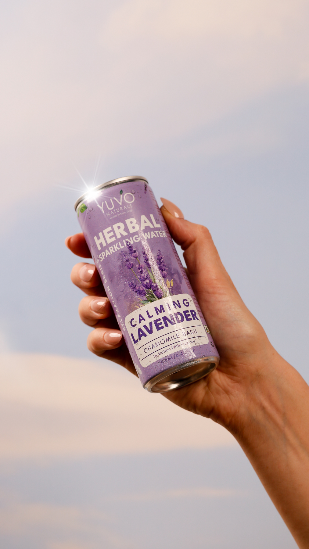 Calming Lavender 12-Pack | 12 × 250ml Herbal Sparkling Water - Image 22