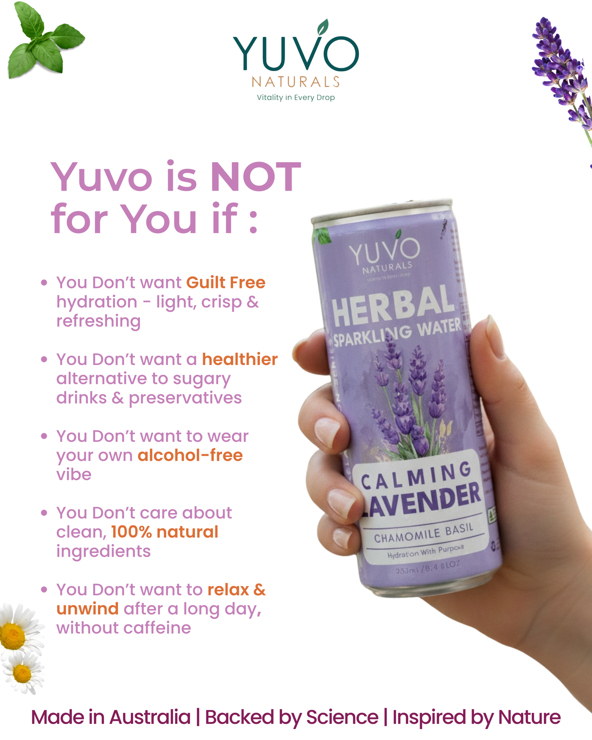 Calming Lavender 12-Pack | 12 × 250ml Herbal Sparkling Water - Image 3