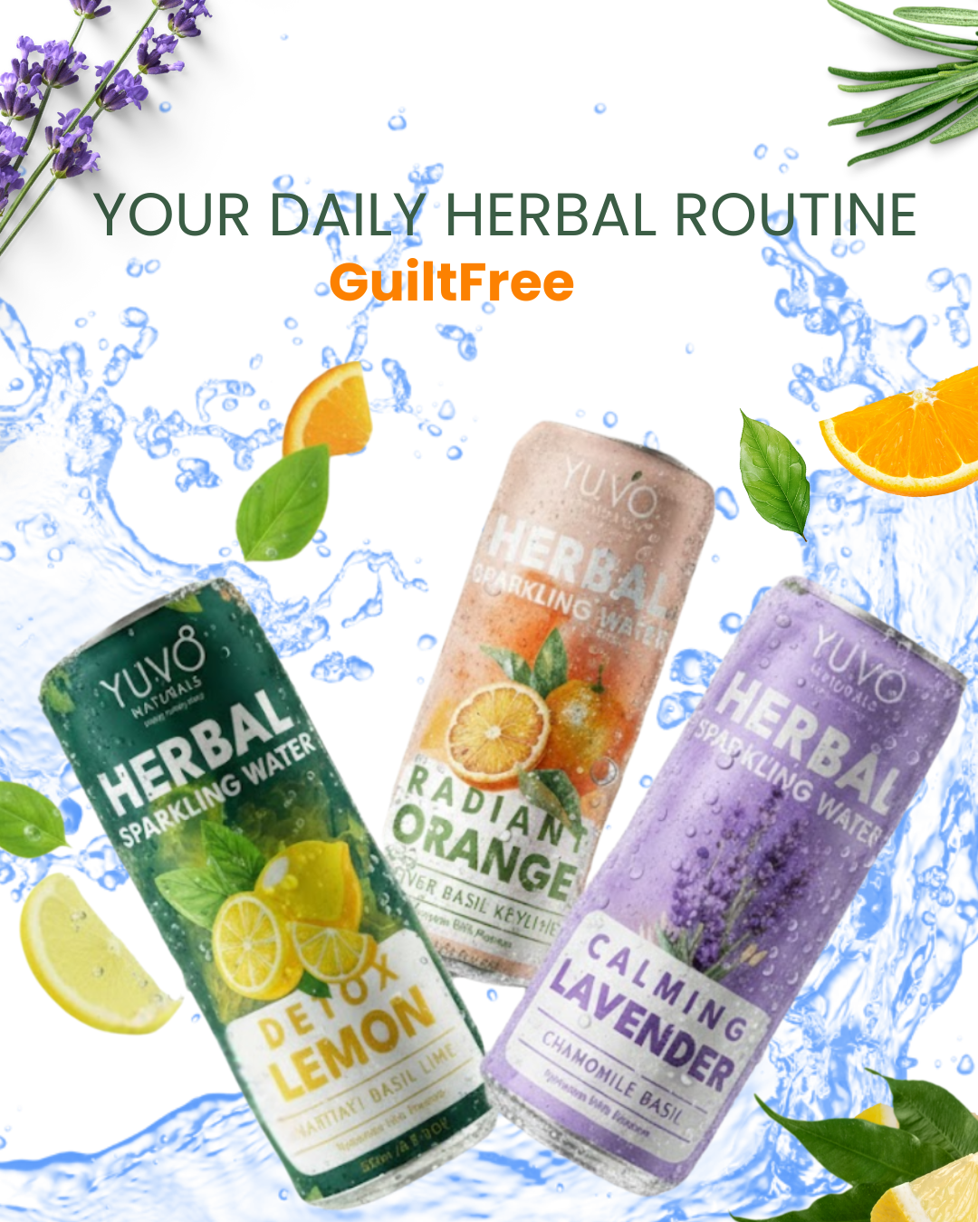 Calming Lavender 12-Pack | 12 × 250ml Herbal Sparkling Water - Image 17