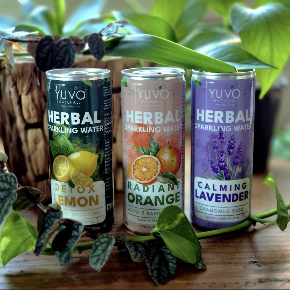 Calming Lavender 12-Pack | 12 × 250ml Herbal Sparkling Water - Image 19