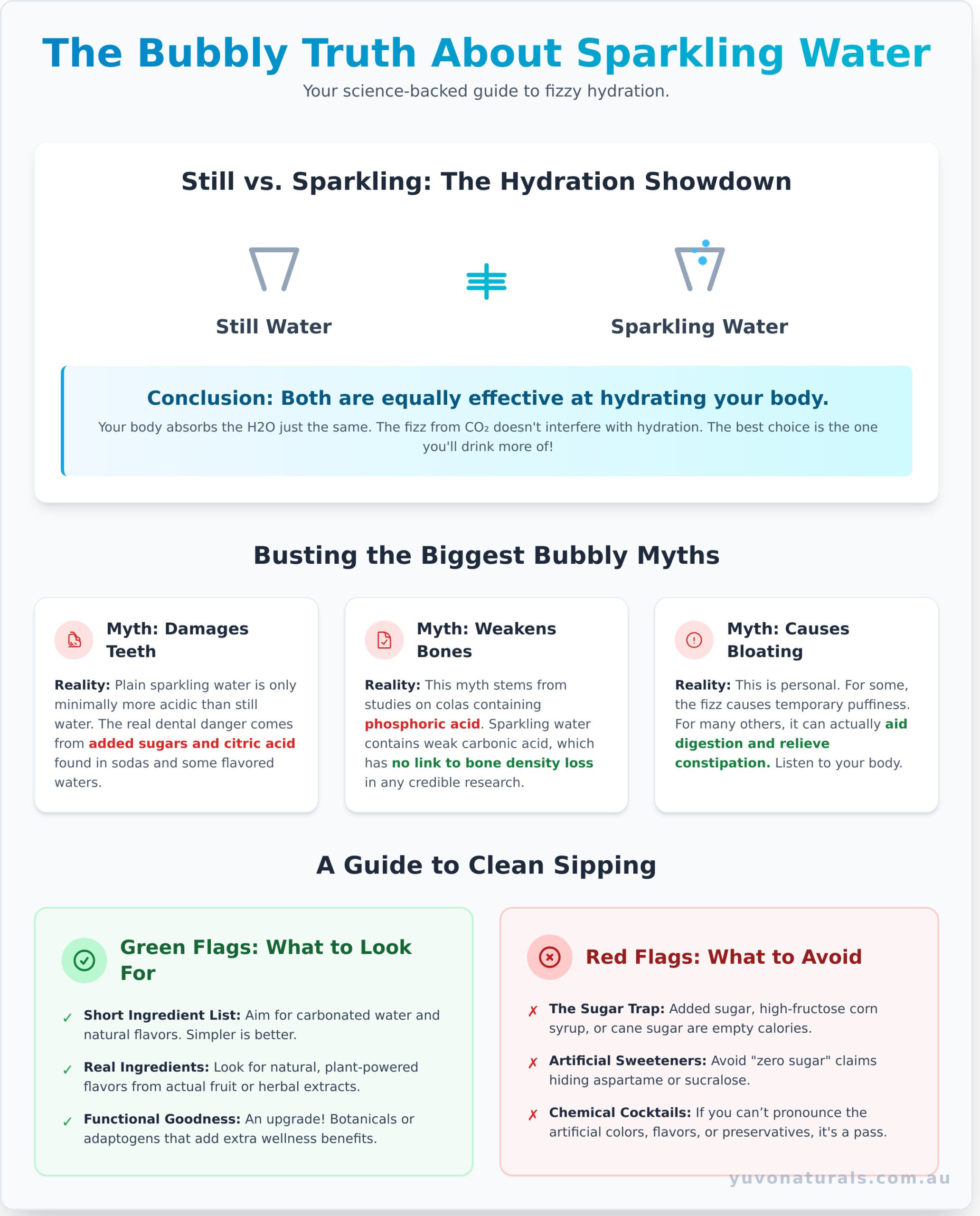 Does Sparkling Water Hydrate You? Here’s the Bubbly Truth - Infographic
