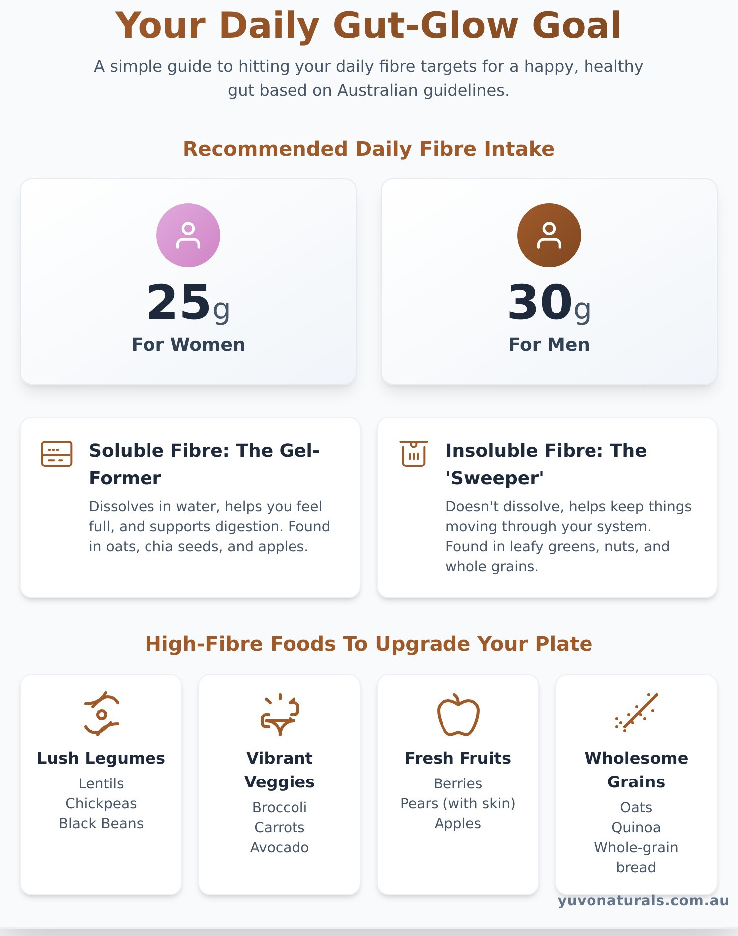Fibre Drinks 101: Do You Need One for Gut Health? - Infographic
