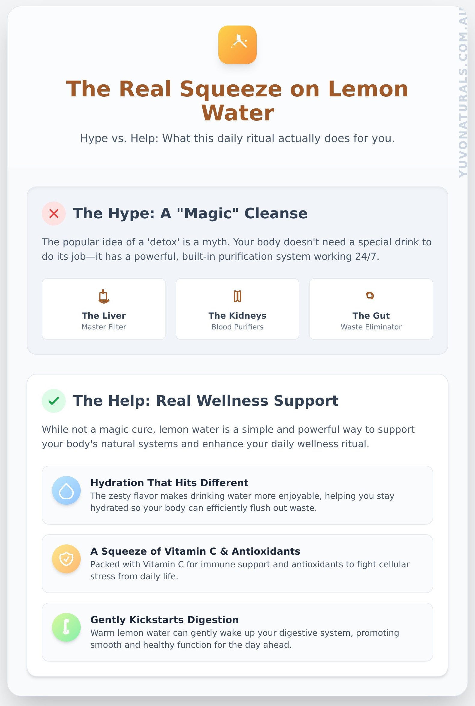 Using Lemon to Detox: The Vibe, The Myths & A Better Way to Reset - Infographic