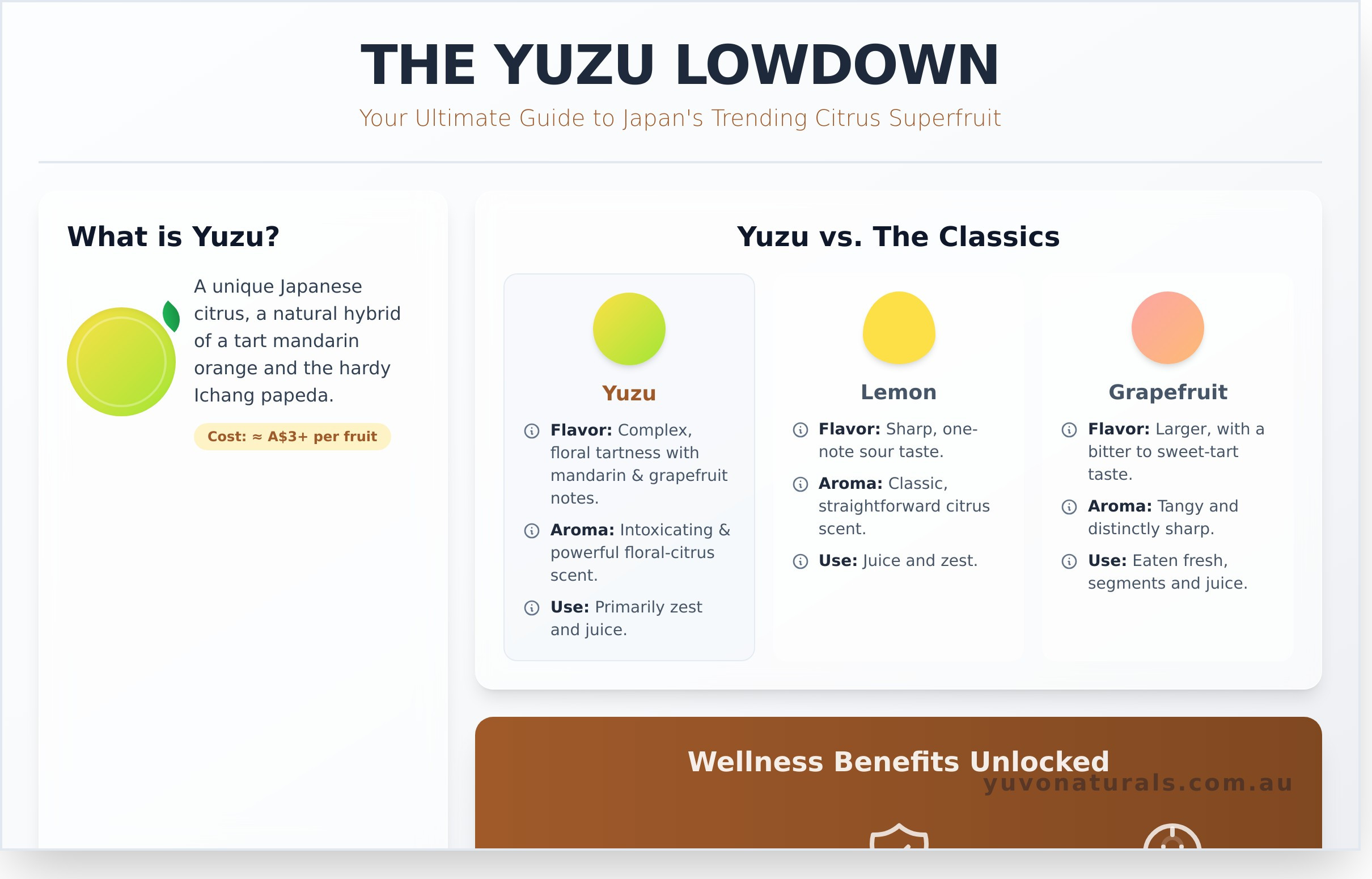 Why Yuzu is Your New Favourite Superfruit Flavour - Infographic