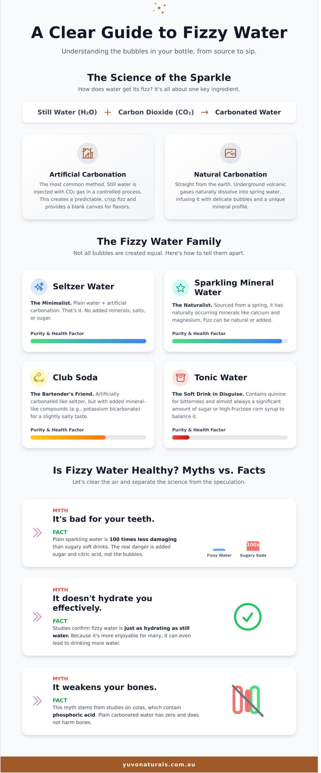 What is Fizzy Water? A Simple Guide to the Bubbles - Infographic